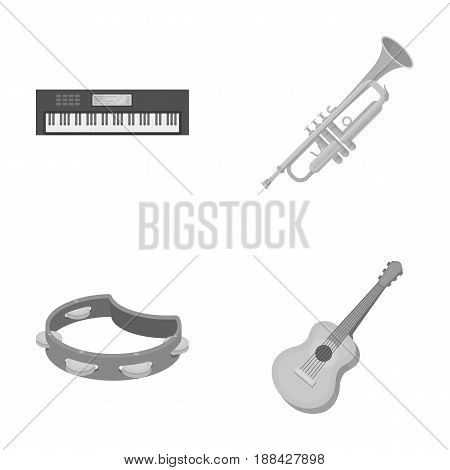 Electro organ, trumpet, tambourine, string guitar. Musical instruments set collection icons in monochrome style vector symbol stock illustration .
