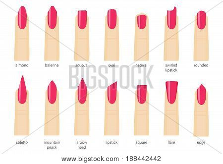 Different Fashion Vector Photo Free Trial Bigstock