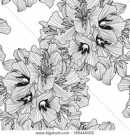 Floral Seamless Pattern