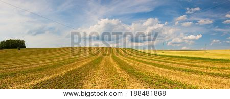 Harvested empty field on the hills at sunset.Panorama picture.