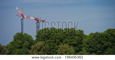 Construction Crane Towering Above The Trees, City And Nature