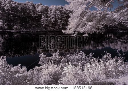Beautiful False Color Surreal Infrared Landscape Image Of Lake And Surrounding Forest