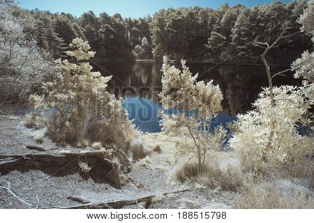 Beautiful False Color Surreal Infrared Landscape Image Of Lake And Surrounding Forest