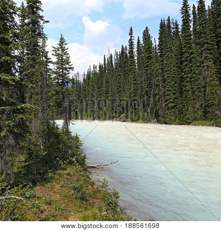Whitecolored Kiking Horse River in Yoho NP