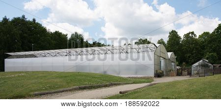 Large greenhouses for cultivation of the cactus