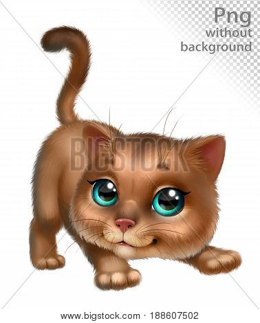 Brown Abyssinian cat playing, png without background