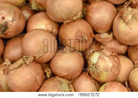 A Lot Of Onions, Lies A Big Mountain
