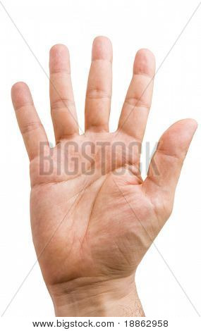 Masculino mão mostrando os cinco dedos e a palma isolado no branco