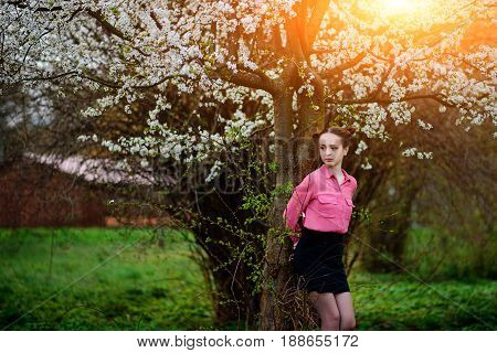 Young Beautiful Girl In A Pink Shirt Standing Under Blossoming Apple Tree And Enjoying A Sunny Day.