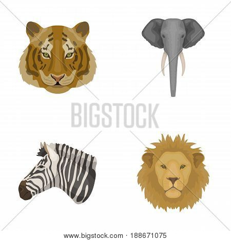Tiger, lion, elephant, zebra, Realistic animals set collection icons in cartoon style vector symbol stock illustration .