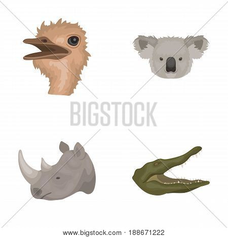 Ostrich, koala, rhinoceros, crocodile, realistic animals set collection icons in cartoon style vector symbol stock illustration .