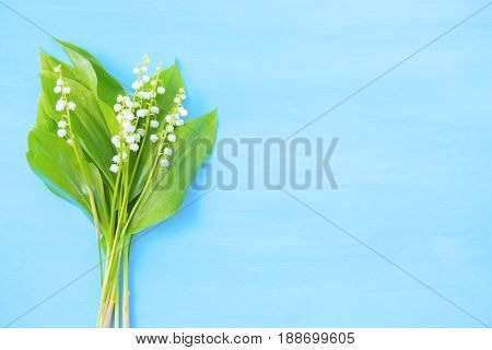 Spring White Lilies Of The Valley On A Blue Wooden Background
