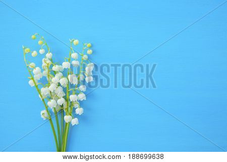 Spring White Lilies Of The Valley On A Blue Wooden Background