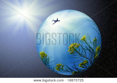 Cresson d'hiver et le plan