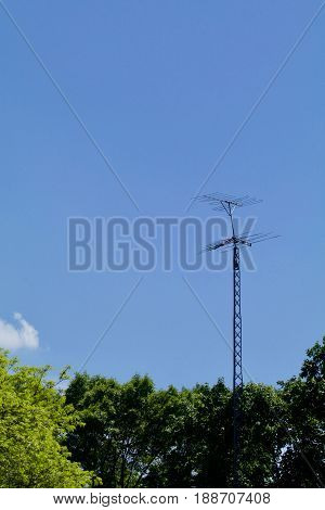 An old TV antenna appears above the trees in a vertical format.