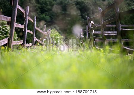 Bokeh feeling on old corral fence at ranch rural scenic summertime. Old wooden rural corral fense in meadow