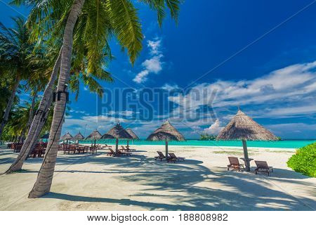 Beach chairs under umrellas and palm trees on a tropical beach, Maldives