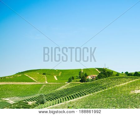 Landscapes of the roer between vineyards castles and good wine