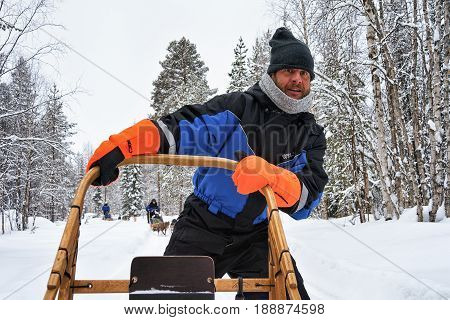 Man Stands On Husky Sledge In Lapland Finland