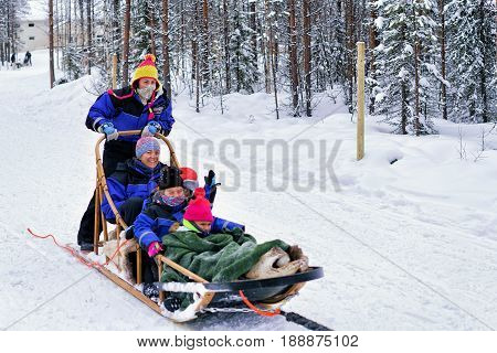 Family With Children Riding Husky Dogs Sledge In Lapland