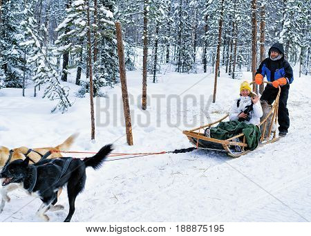 Family Riding Husky Dogs Sledge In Lapland In Finland
