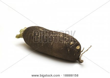 křen na bílém pozadí