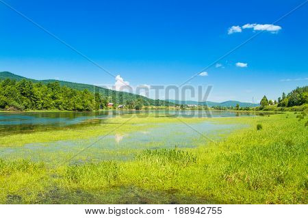 Beautiful lake Sabljaki near Ogulin in Lika, Croatia, in spring