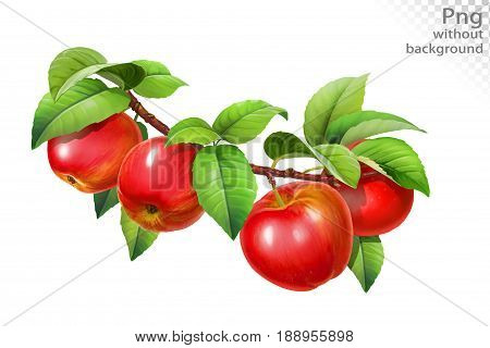 Red apple on a branch with leaves, png without background