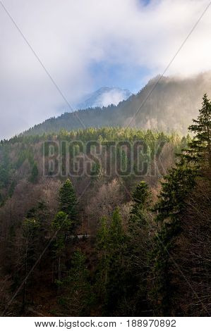 Misty mountains and fog with the afternoon sun