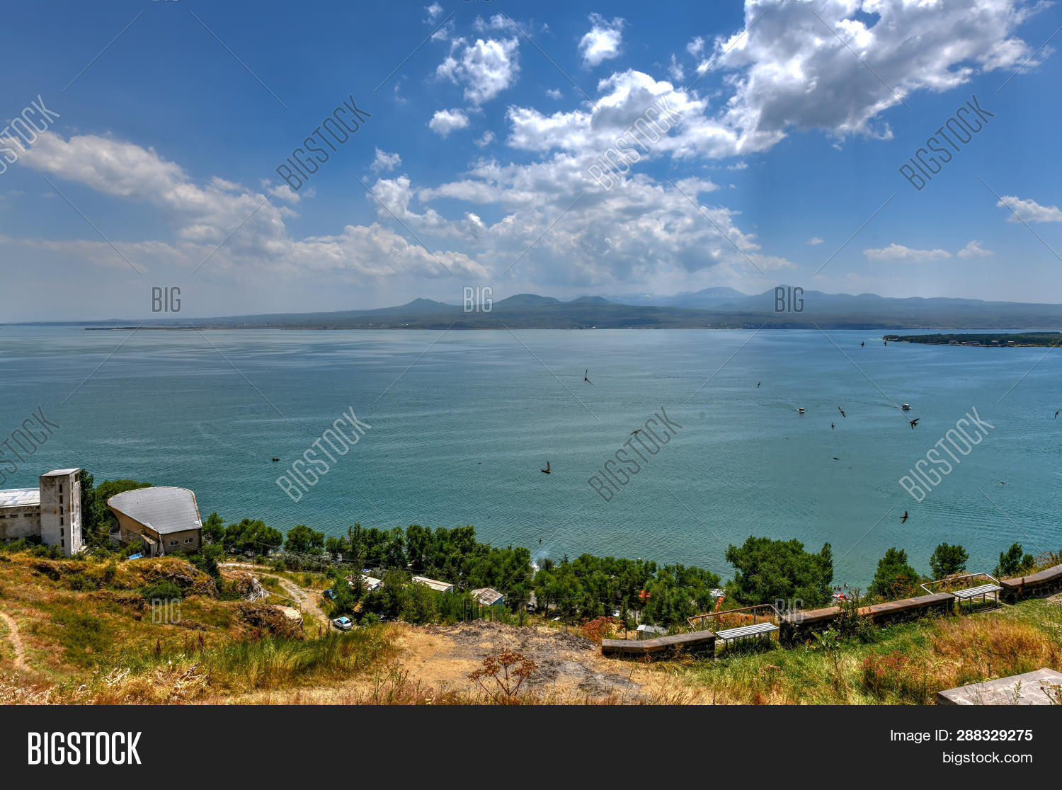 Image Preview
