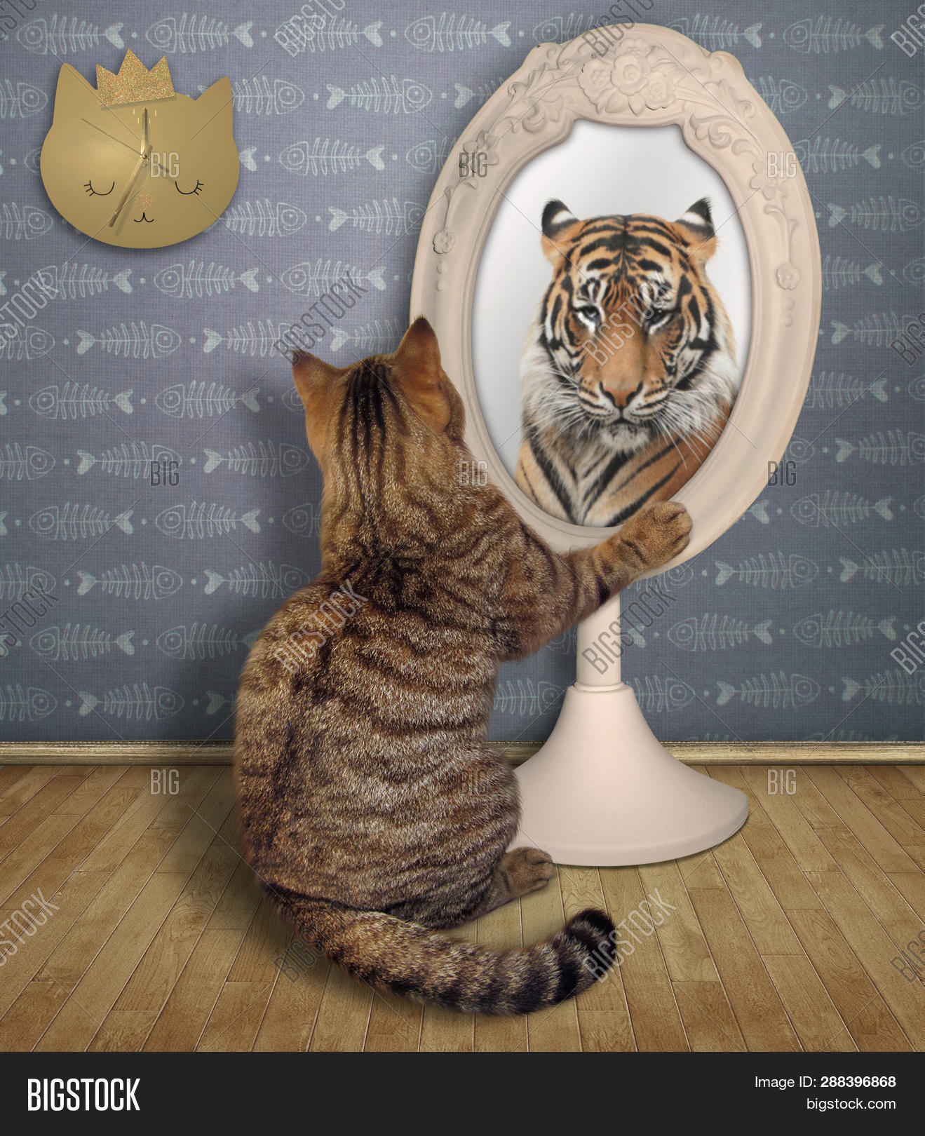 Funny Cat Views His Image Photo Free Trial Bigstock