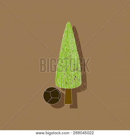 Paper Sticker On Stylish Background Plant Cupressus