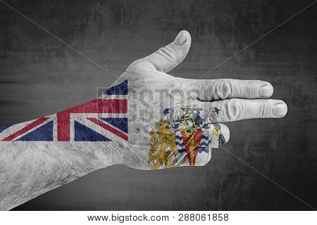 British Antarctic Teritory Flag Painted On Male Hand Like A Gun