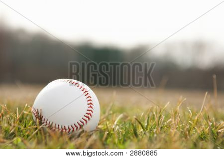 Baseball