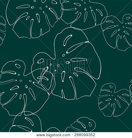 Tropical Leaves Pattern. Seamless Texture With Monstera Leaf. Hand Drawn Tropic Foliage. Exotic Gree
