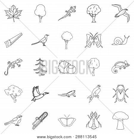 Arboraceous Icons Set. Outline Set Of 25 Arboraceous Icons For Web Isolated On White Background