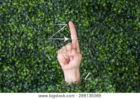 Sign Language Letter Z made with hand against green plant background