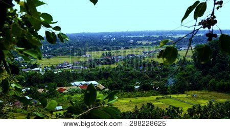Rice Fields And Residents Of Indonesia, Aceh,indonesia