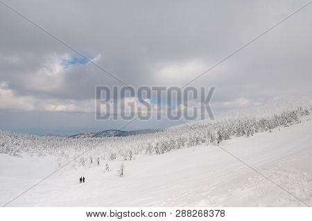 Panorama View Of Snow Monster On Mt.zao
