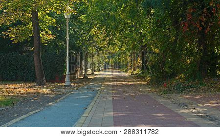 Bricks And Asphalt Pathway In Palic Park, Serbia