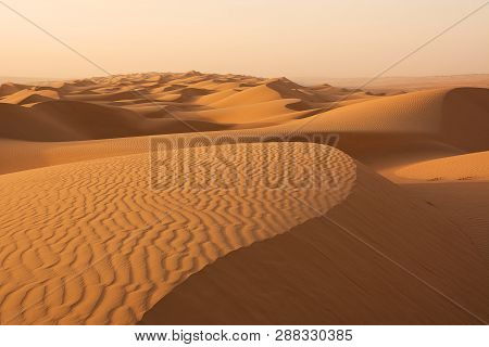 Dunes Of The Wahiba Sand Desert At Dawn (oman)