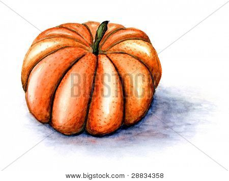 disegno zucca