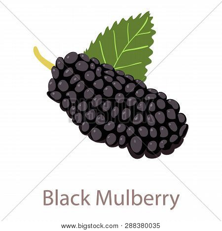 Black Mulberry Icon. Isometric Illustration Of Black Mulberry Icon For Web