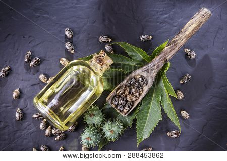 Beans And Castor Oil On The Black Table