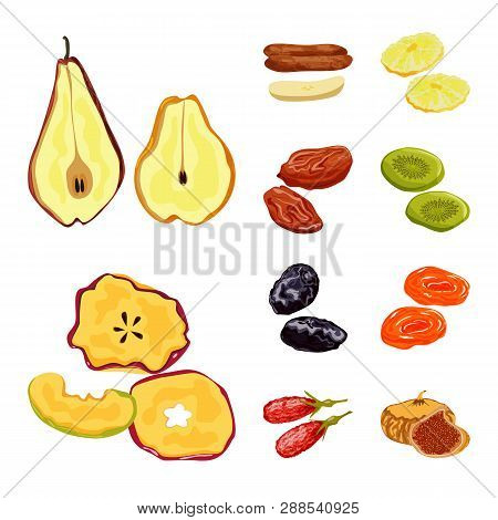 Vector Design Of Fruit And Dried  Icon. Set Of Fruit And Food  Vector Icon For Stock.
