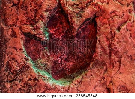 Ornithopod Footprint, Fossil Of A Dinosaur Track, Animals That Lived In The Jurassic Period