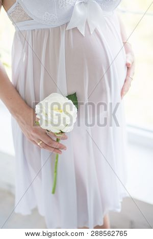 A Pregnant Girl In A Beautiful Lower Underwear Is Smooting Our Animal. Girl With Flowers On White Ba