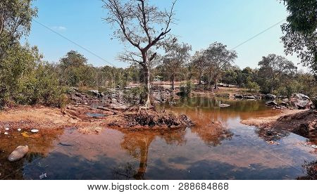This Is A Stump Tree Inside Stream Water. It Enhances The Beauty Of Nature.
