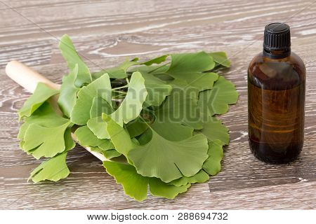 Ginkgo Tincture