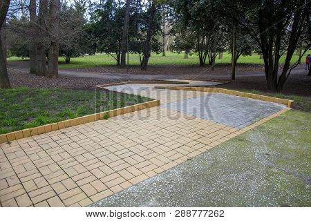 Park Detail With Cold Colours And Several Trres